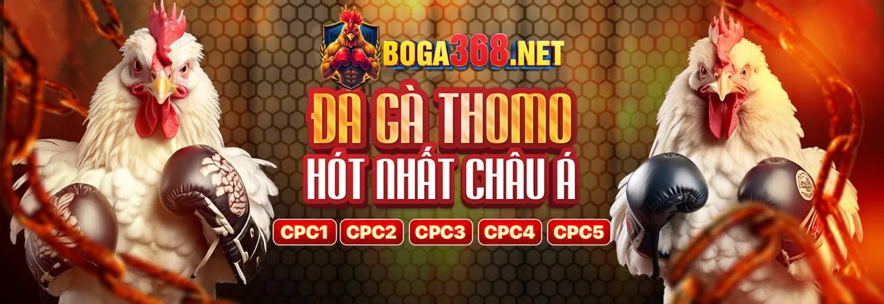 Cam kết dịch vụ minh bạch và an toàn của Soi Kèo Nhà Cái 5